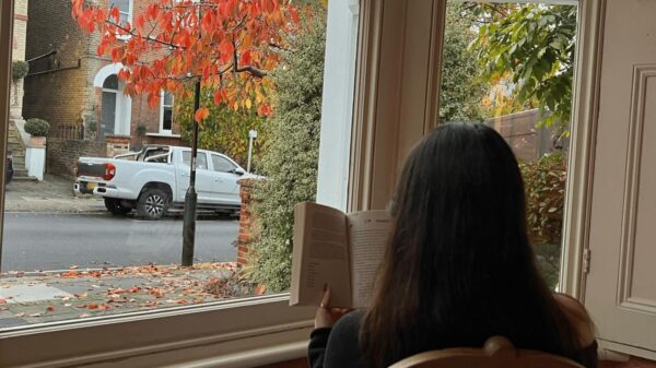 Girl reading a book in front of a window