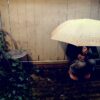 Person on garden decking with an umbrella covering their entire face, sitting as if anxious and unhappy.