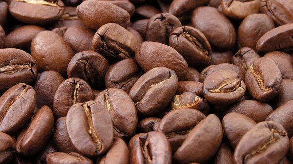 Caffeine Article