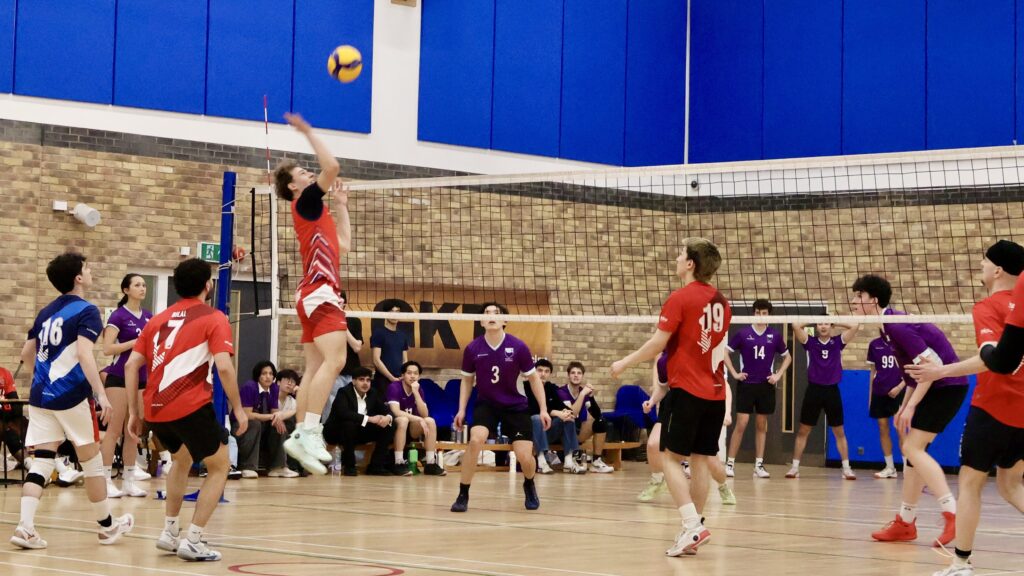 Image by Sabrina Hau