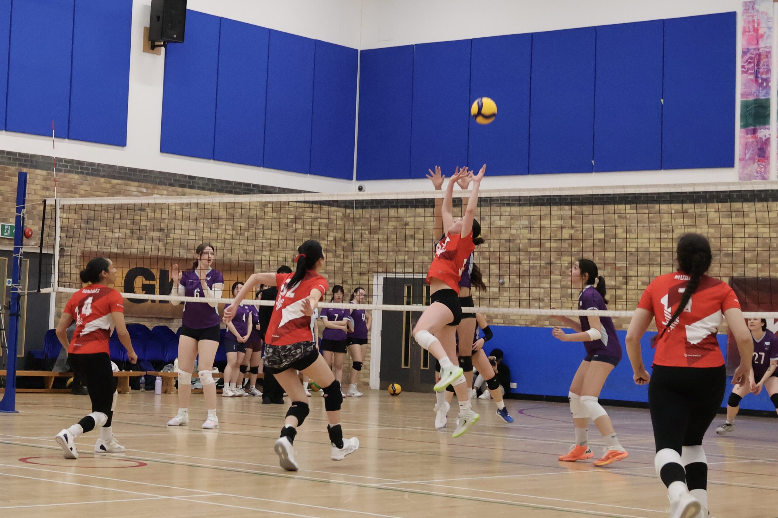 Image by Sabrina Hau